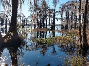 Robert Simpson Nature Trail