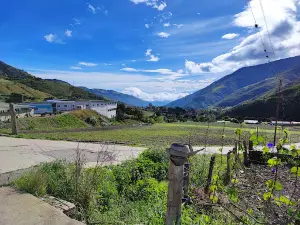 Parque Nacional Juan Pablo Peñaloza