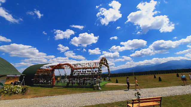 Panoramic Park