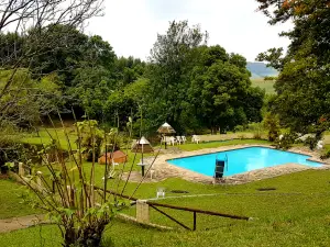 Camp Noah