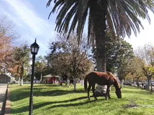 Plaza Independencia