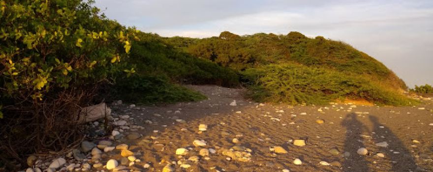 Playa Matanza