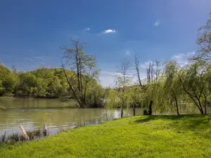 Robinzonski kamp LESKAR