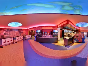 Phoenix Theatres State Wayne
