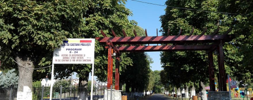 Stadionul Păulești