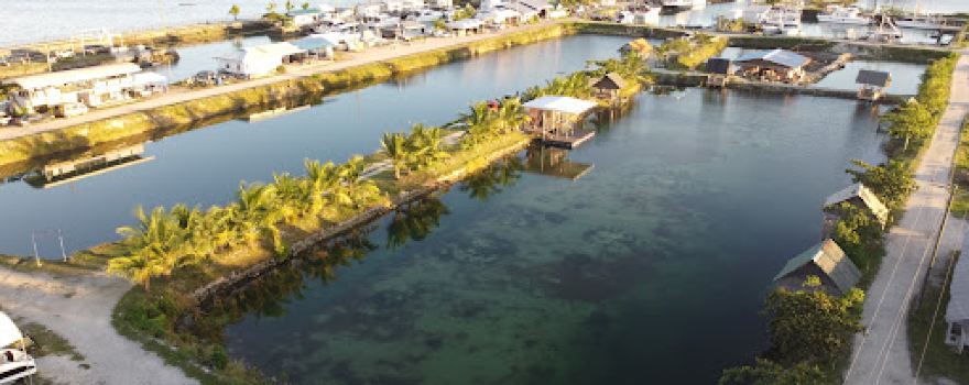 Porter Marina Pond 3