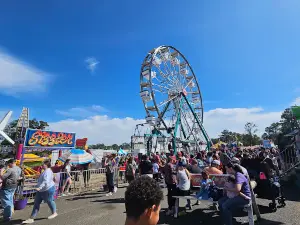 Beauregard Parish Fair Grounds