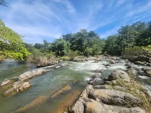 Kaeng Som Maew Queen Sirikit Forest Park