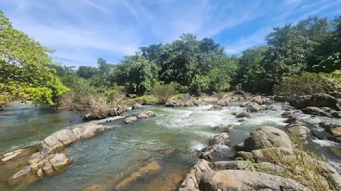 Kaeng Som Maew Queen Sirikit Forest Park