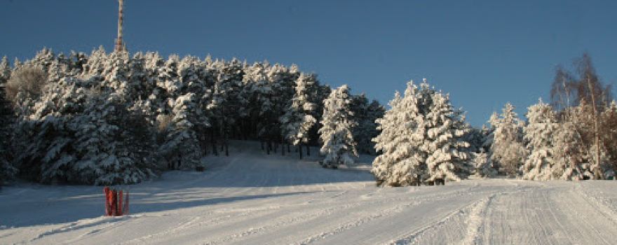 Koprivki