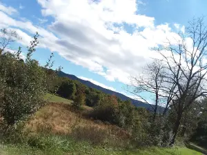 Camp ACCOVAC