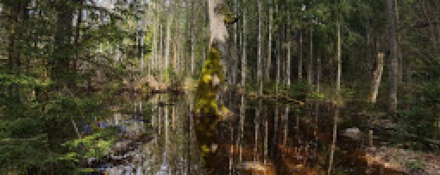 Eņģeļu ala