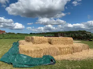 Maislabyrinth Sieversdorf