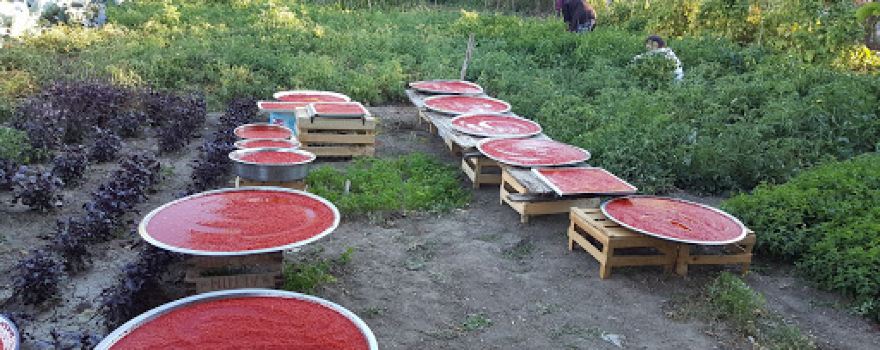 Pınarbaşı Parkı