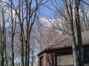 Площадь Чапаева