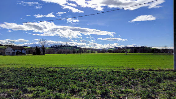 Centro di ricerca per le colture industriali (CIN)