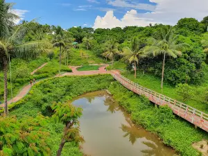 Khagrachari HDCH Park Hanging Bridge