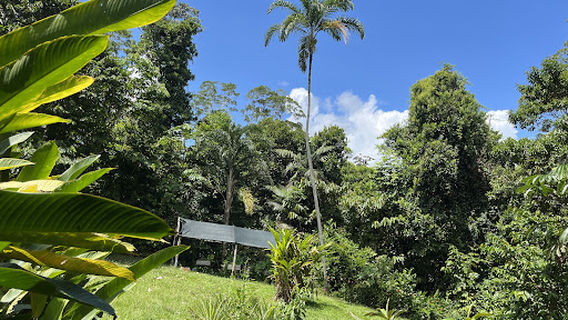 Natural Reserve Palmari