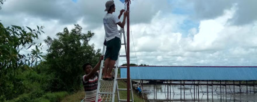 Bago River