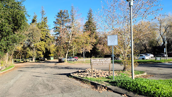 ドッグ・アイランド・パーク