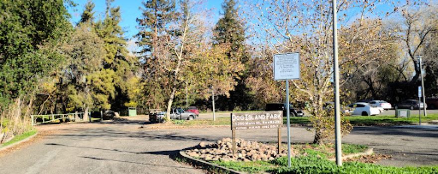 Dog Island Park