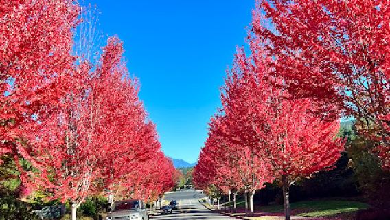 Jeanne Hansen Community Park