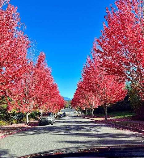 Jeanne Hansen Community Park