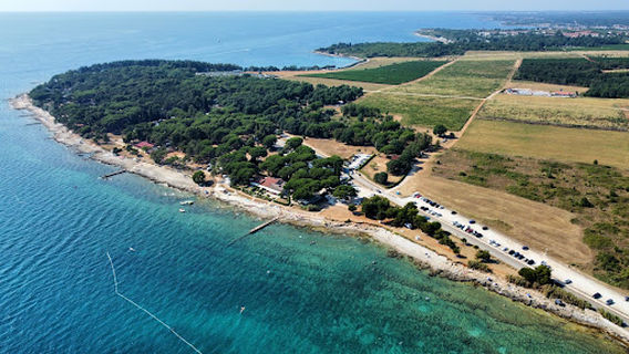 Dječje odmaralište Pinea Novigrad