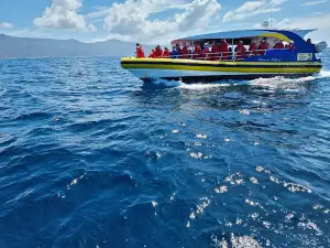 Bruny Island Cruises