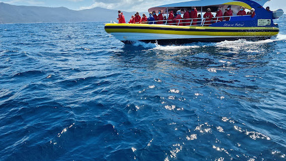 Bruny Island Cruises
