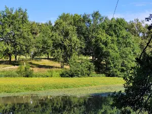 Le Lac aux Branches