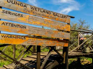 Dunga Wetland Swamp Boardwalk