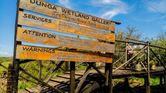 Dunga Wetland Swamp Boardwalk