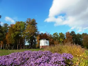 Gut Zichtau - Ihre Eventlocation für Hochzeiten, Tagungen und Feiern in der Altmark