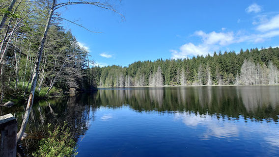 Roland Point Viewing Area