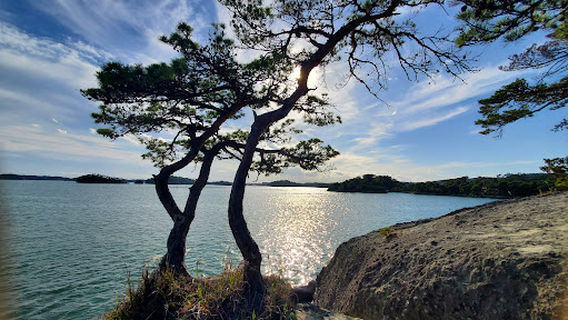 Matsushima Umanose