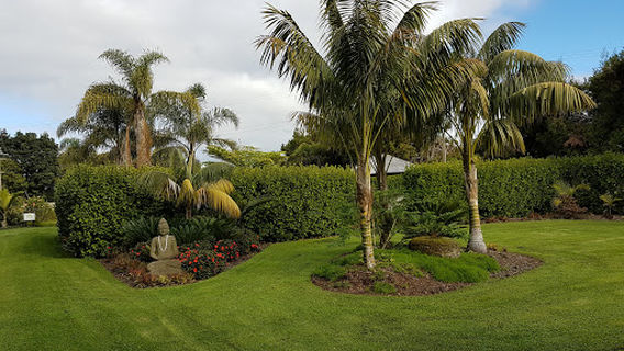 Oasis Wellness