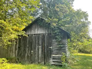 Spirit Springs Sanctuary