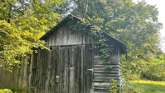 Spirit Springs Sanctuary
