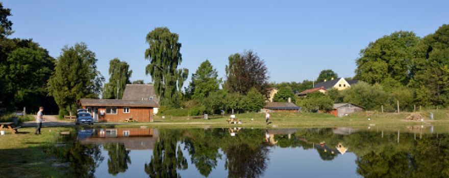 Klaks Mølle Lystfiskersø Horsens Put and take