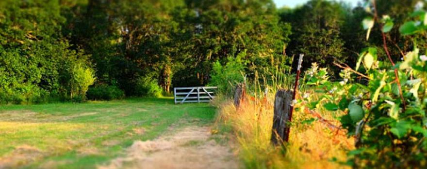Furthurside Campground