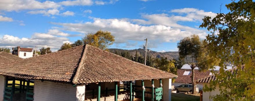 Quinta Macaji