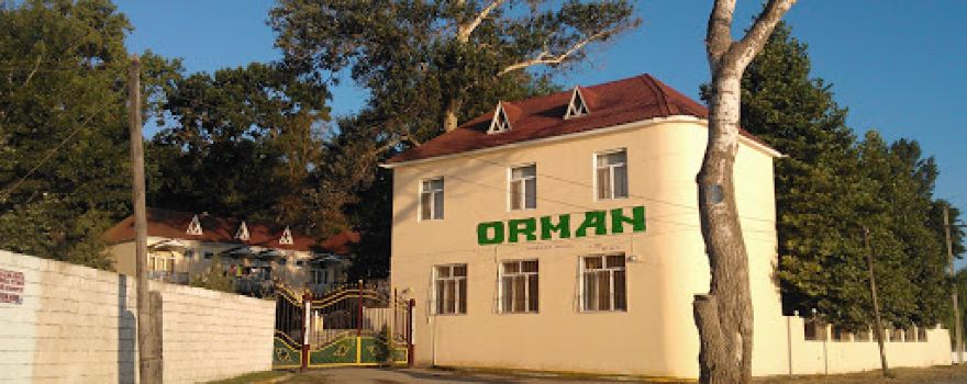 Orman