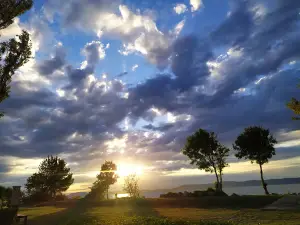 Vadvirág Camping
