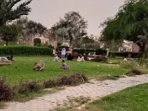 Zia Ul Haq Shaheed Park