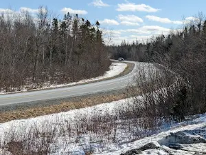 9 Mile River Trails