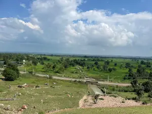 Bansagar back water