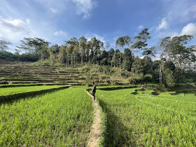 Golorenda Walking Trail