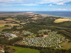 First Camp Råbjerg Mile - Skagen