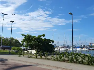 Beira Rio Itajaí